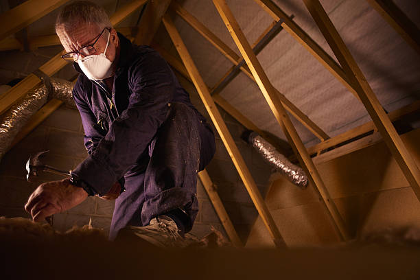 Best Geographic-Specific Insulation Services in Matamoras, PA